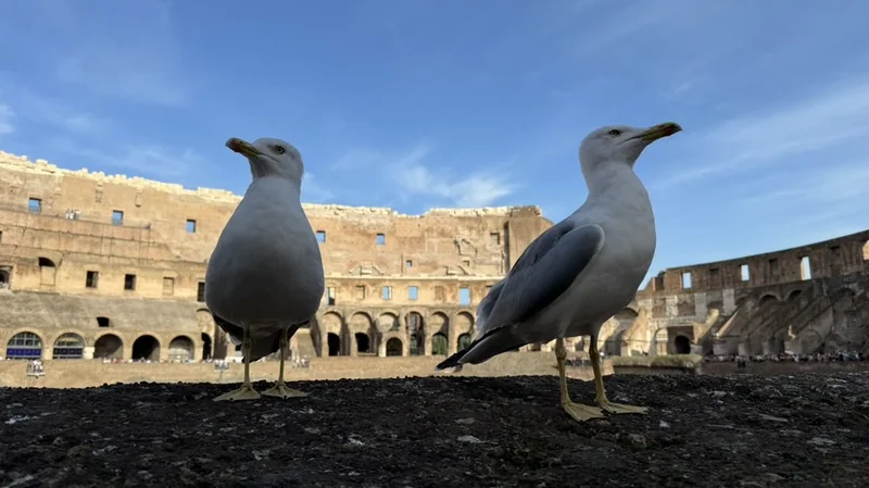 2024 @ Rome, Italy