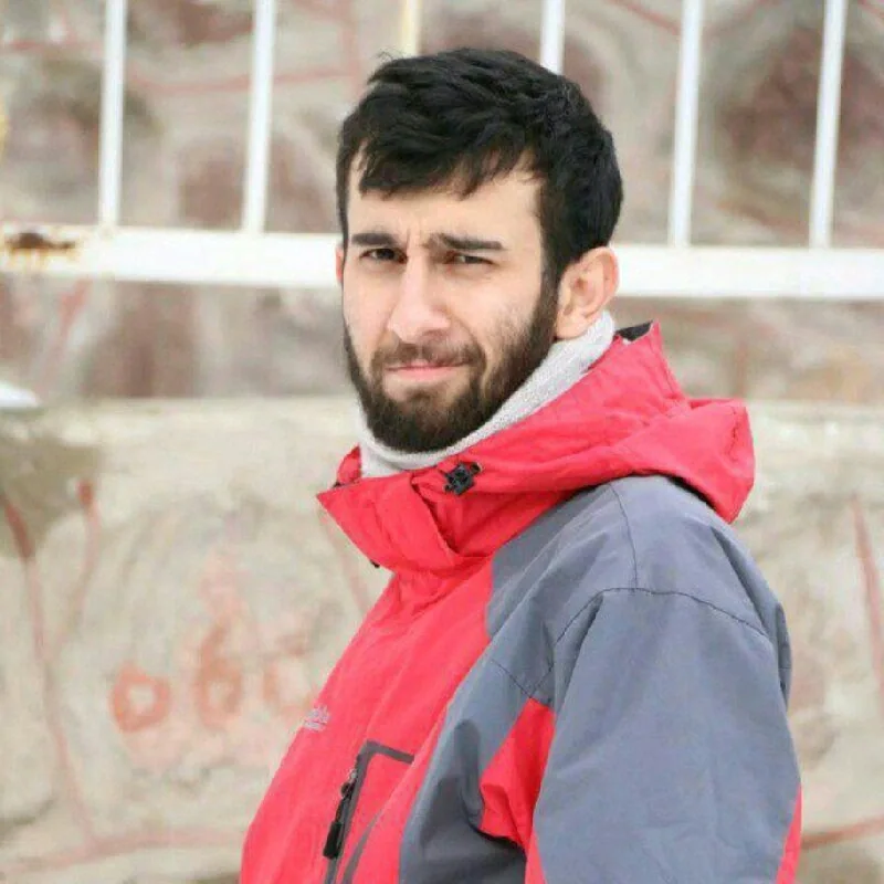 Seyed Shahab Bozorgzadeh